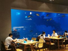 大堂-海棠湾洲际-涛·海底餐厅·美人鱼·自助餐·海底隧道