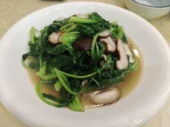 香菇炒小青菜-青春·淮扬菜(东关街店)