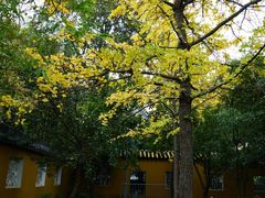 -北寺塔