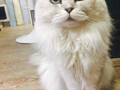 -小时光咖啡馆(开森度假森林店)