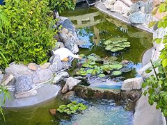 -蘇河湾·新鲁菜·泰山宴(泰山店)