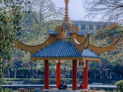 -金砂公园