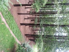 android_upload_pic-八大关景区