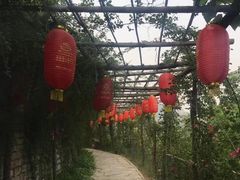 -井塘古村