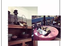 -杨桃院子咖啡吧(中华红墨店)