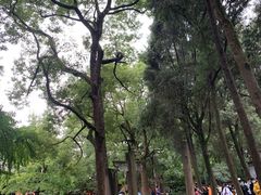 -成都武侯祠博物馆