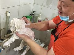 -酷狗靓猫宠物·洗护·美容·寄养(航北路店)