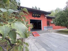 -百脉泉景区