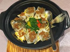 -九朝会昆曲·宴(望京店)