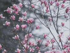 -上海动漫博物馆