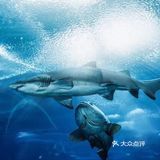 珠海长隆旅游度假攻略