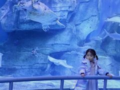 -泉城欧乐堡海洋极地世界