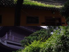 -龙华寺