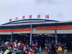 -龙上水现炒生料(柳沙店)