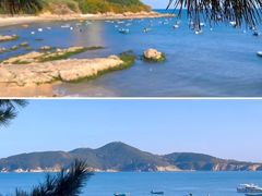 -海源公园