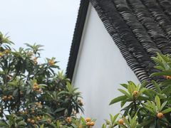 -苏州太湖西山岛开心农场