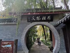 -桂湖森林公园
