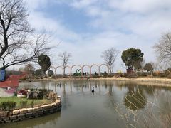 -鹅湖玫瑰文化园