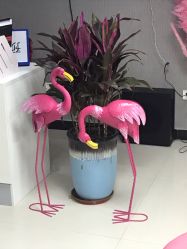 -E.beauty驻颜·痘敏肌调理中心