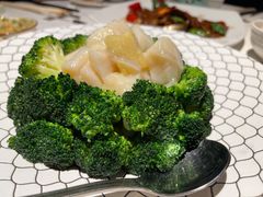 碧绿澳洲带子-申粤轩酒楼·三十年粤菜经典(丁香花园店)
