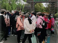 -溱湖国家湿地公园