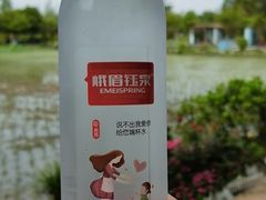 -洪湖家庭农场·团建·露营·会议