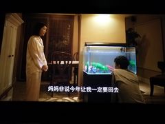 -新影联·华谊兄弟影院(望京店)
