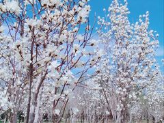-东郊湿地公园