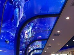 -小鱼儿海鲜港(新村十区店)