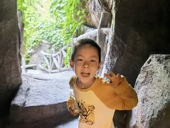 -游龙石文化科普馆