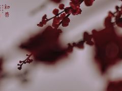 -杭州城北体育公园