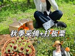 -上海山野camping·户外天幕烧烤·团建拓展营地