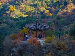 -香山公园