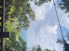 -海南铜鼓岭景区