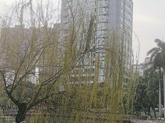 -四海公园(南山区)