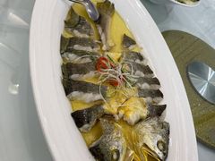 深海大黄鱼-阿明小菜·海鲜·上海菜(梅陇华理店)