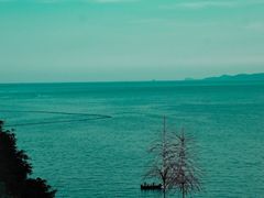 -Brew Farm·精酿农场海滨悬崖餐厅
