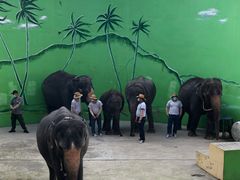 -大连森林动物园