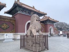 -北陵公园