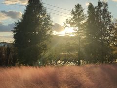 -羊亭河湿地公园