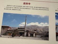 -西藏自治区图书馆