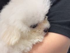 -瑞派康怡24h宠物医院·犬猫医疗中心·微创绝育(瑞景分院)