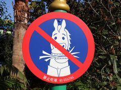 -迪士尼小镇