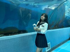 -合肥海洋世界