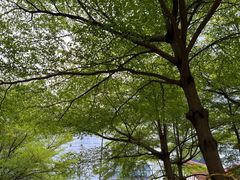 -科兴科学园
