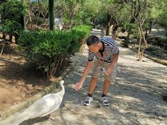 -燕塞湖鸟语林景区