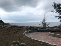-广东惠东海龟国家级自然保护区
