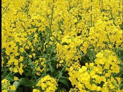 -千龙湖生态旅游度假区