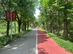 -上海长兴岛郊野公园