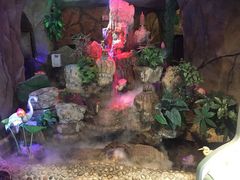 -醉小酒馆·川菜·江湖菜·重庆菜(观音桥旗舰店)